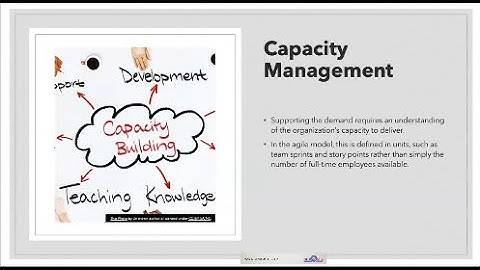 Capacity Management- from Aligning Performance with Strategy in Agile Portfolio Management