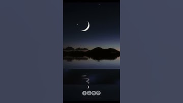 قرآن كريم💜|يَا قَوْمَنَا أَجِيبُوا دَاعِيَ اللَّهِ وَآمِنُوا بِهِ يَغْفِرْ لَكُم مِّن ذُنُوبِكُمْ