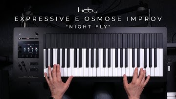 Kebu - Expressive E Osmose improv: "Night Fly"