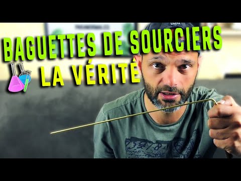 Vidéo: L'assistant Du Sourcier Fantomatique - Vue Alternative
