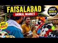 A Day at Faisalabad’s 🇵🇰 Famous Animal Market Vlog | 4K HD | Life In Faisalabad | Adam Tourist Walk