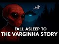 Alien Bedtime Story: Fall Asleep to the Varginha UFO Crash &amp; Brazil’s Mysterious Creatures