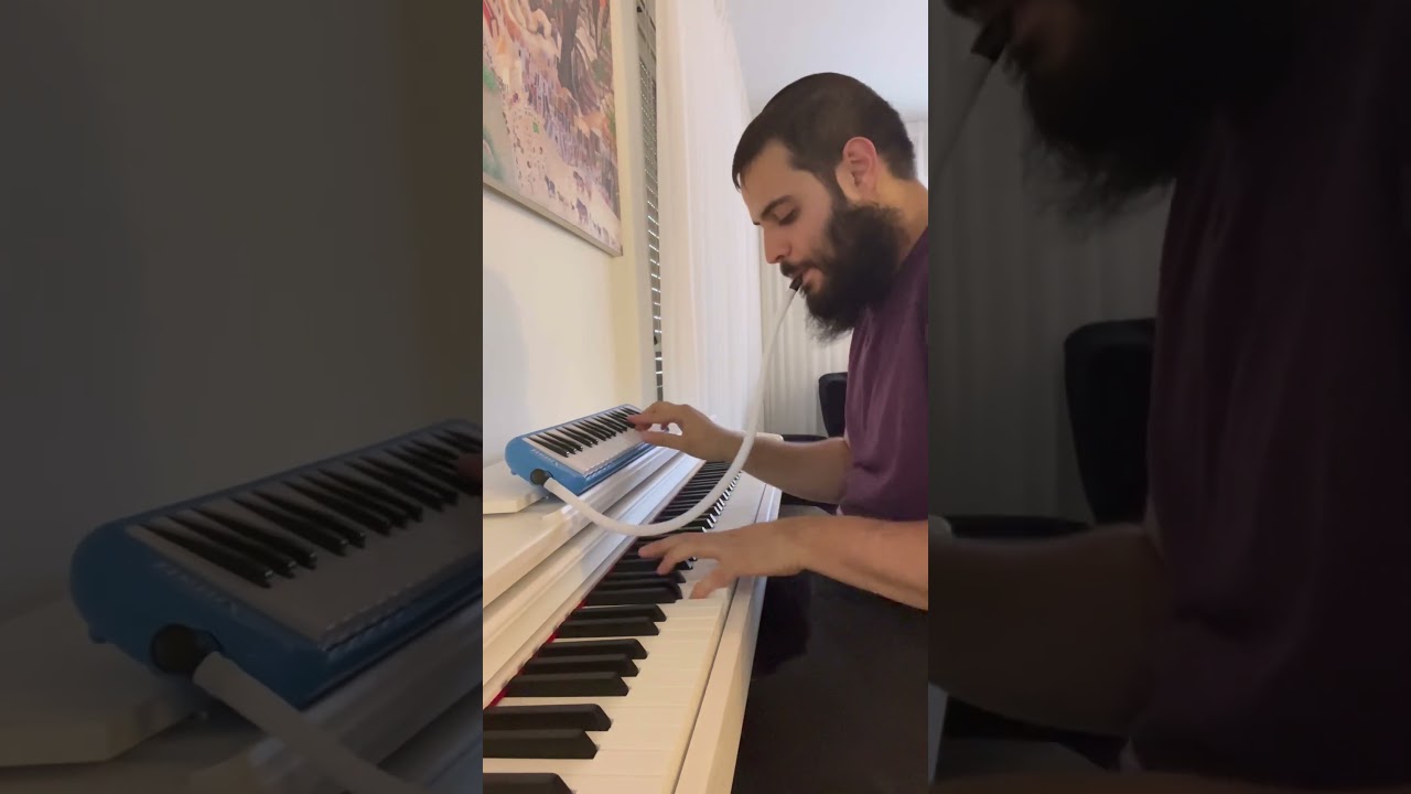 הניגון היומי 😍