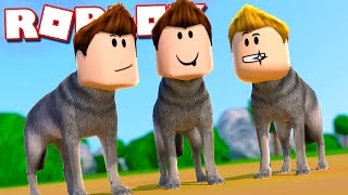 Play As Baldi Time The Weird Side Of Roblox Baldi S Basics Obby Rp Camping Update Apphackzone Com - roblox baldi's basics 3d morph rp mega vip