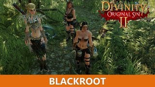 Where to find Blackroot for ritual(Divinity Original Sin 2)