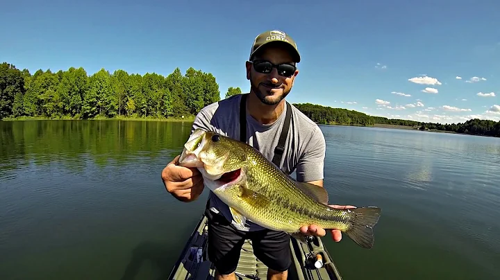 Summer Fishing Tips: How To Catch Bass In Midday Heat - DayDayNews