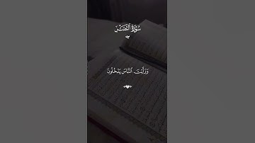Surah An-Nasr · Sheikh Maher Al Muaiqly #قران #ماهرالمعيقلي  #quran #قران_كريم #تلاوة_خاشعة
