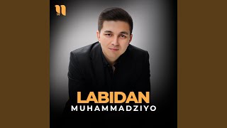 Labidan