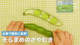 [幼児食　]おうちで簡単に食育!そら豆のさやむき｜ママ 赤ちゃん 初めてでも 簡単 レシピ 作り方