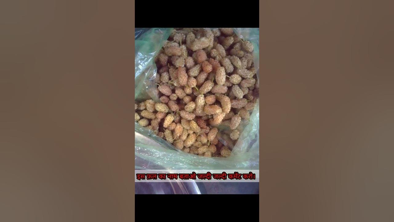 ye konsa fruit h🤔इस फल का नाम बताओ। YouTube
