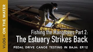 Canoe Fishing the Baja Mangroves Part 2:  The Estuary Strikes Back.