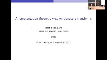 A Representation Theoretic View on Signature Transforms