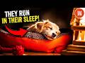 25 Mind Bending Facts About Your Dreams
