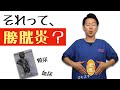 【獣医師解説】膀胱炎のすべて。頻尿、血尿その原因は？