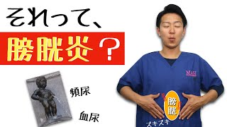 【獣医師解説】膀胱炎のすべて。頻尿、血尿その原因は？