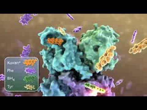 Kuvan Mechanism of Action