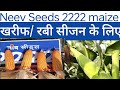 Neev Seeds 2222 maize 🌽🌽