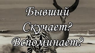 Бывший. Думает? Скучает? Вспоминает? Расклад таро 🔮