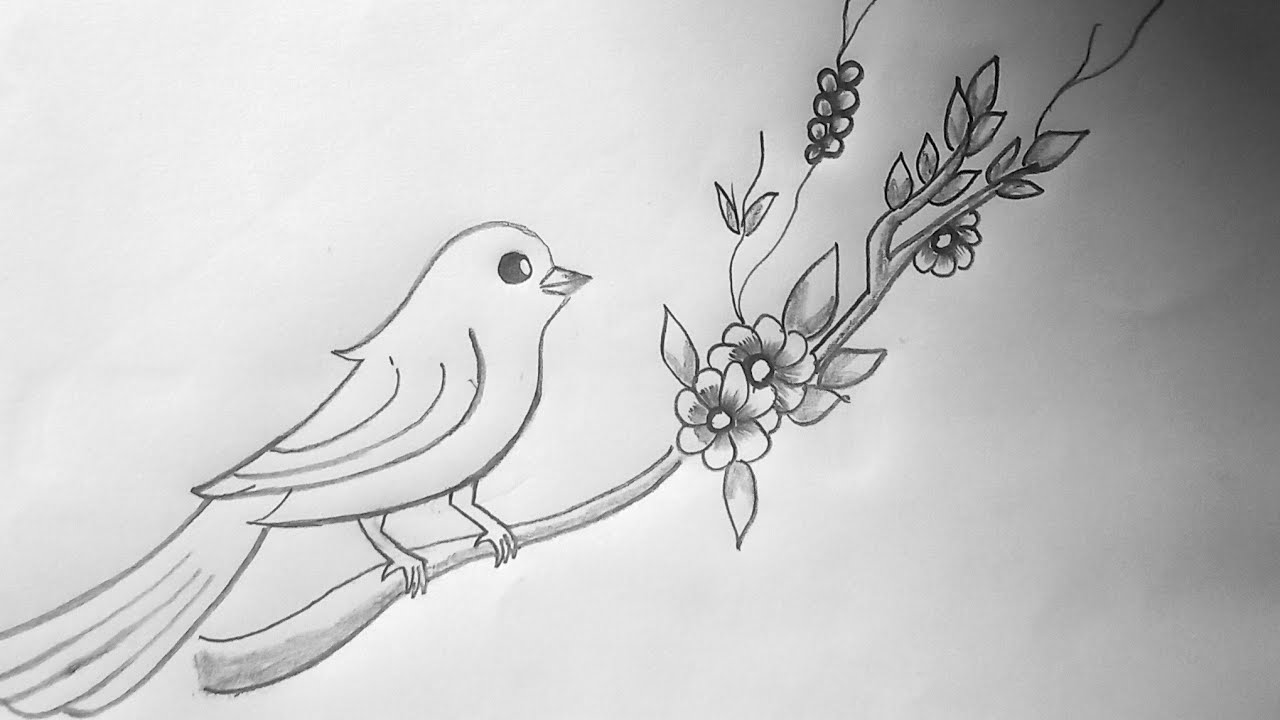How to draw a Beautiful Bird sitting on the branch ll Bird Dawing Easy