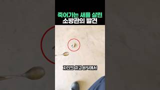 죽어가는 새를 살린 소방관의 뜻밖의 발견