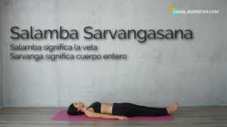 Asana 7: SALAMBA SARVANGASANA I 