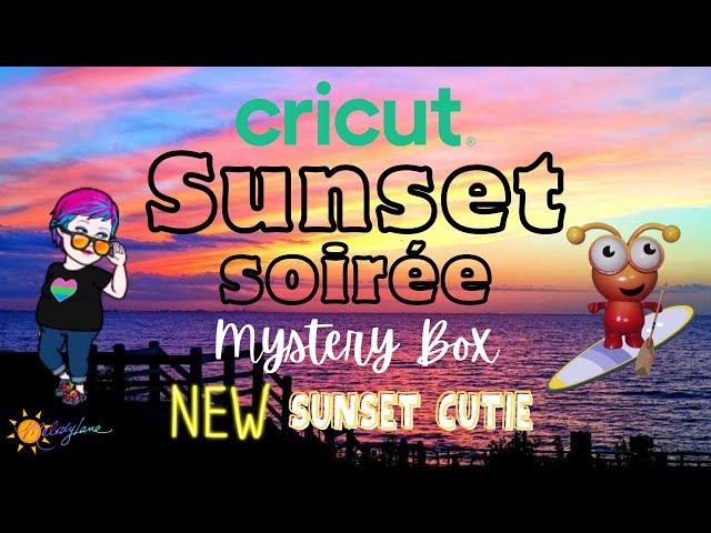 SHOPCCLUXURY Mystery Clip Box!