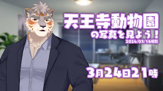 【雑談配信】天王寺動物園の写真を見よう！2024/03/16撮影【Vtuber/凍凪コウガ】