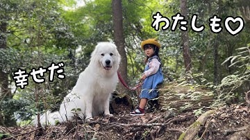 【もののけ姫】自分より５倍も大きい超大型犬を手懐ける３歳児と優しく全てを受け入れる超大型犬の絆がすごい…｜グレートピレニーズ&オールドイングリッシュシープドッグ&トイプードル