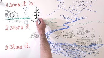 Natural Flood Risk Management Overview