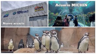 ACUARIO #MICHIN CDMX  CUÁNTO CUESTA ¿VALE LA PENA? Recorrido