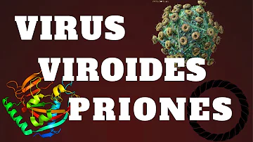 ¿Qué son los priones y viroides en qué se diferencian de los virus?