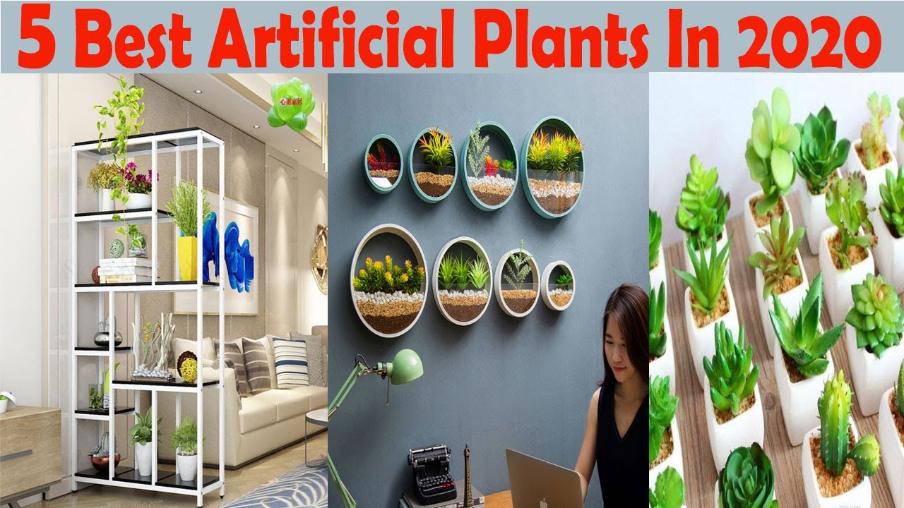 5 Best Artificial Plants in 2020 YouTube