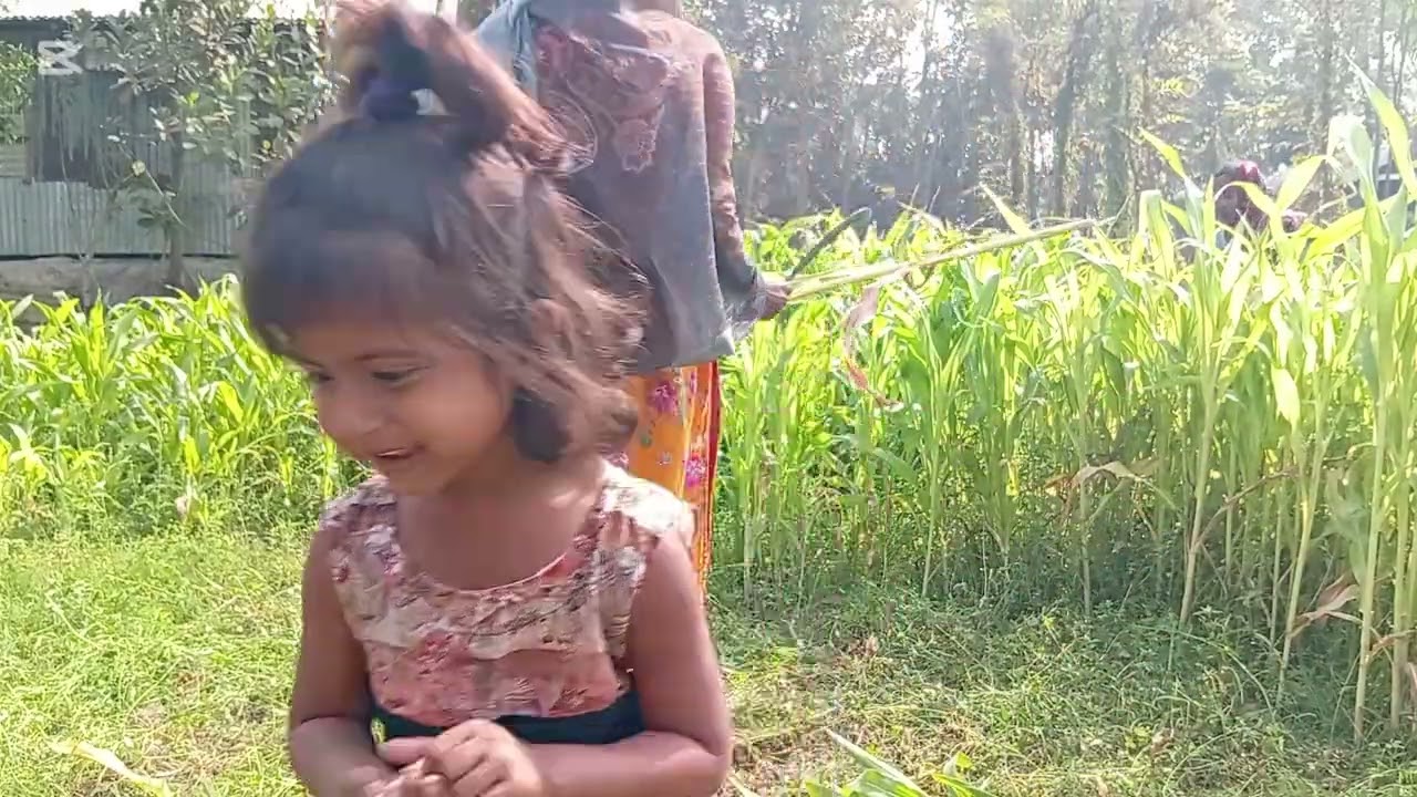 আজকে ঘাস কাটলাম