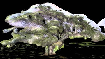 3D Tree (123D Catch)