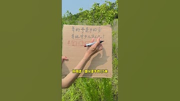 小学奥数—— 分数应用题#学习 #开学  #搞笑