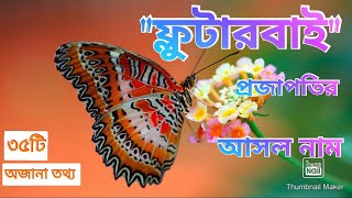 হিমালয়ের উচ্চতা বাড়ছে | প্রজাপতির আসল নাম ফ্লুটারবাই | ৩৫টি মাথা নষ্ট করা তথ্য | facts | অজানা তথ্য