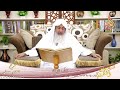 شرح صحيح مسلم 510 باب إباحة الأخذ لمن أعطي من غير مسألة ولا إشراف ح 1045 1047 للشيخ مصطفى العدوي شرح صحيح مسلم 510 باب إباحة الأخذ لمن أعطي من غير مسألة ولا إشراف ح 1045 1047 للشيخ مصطفى العدوي