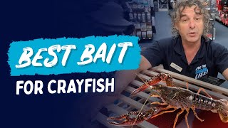 Choosing The Right Bait For Your Craypot