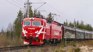 Tåg vid Ånge godsbangård och station - April 2022