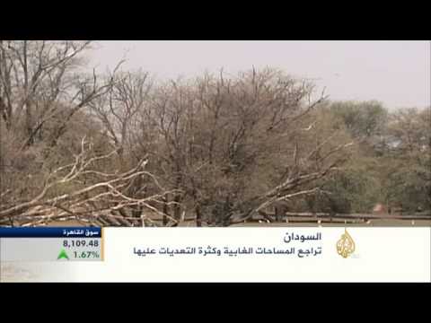 تراجع المساحات الغابية في السودان
