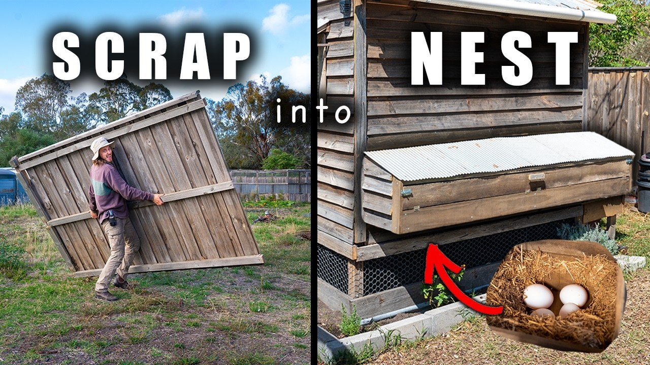 I Turned This Old Fence into a Chicken Nesting Box