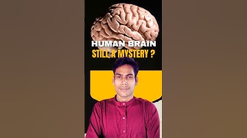 The Human Brain: The Universe Inside You 🧠✨| Rajesh Arakh