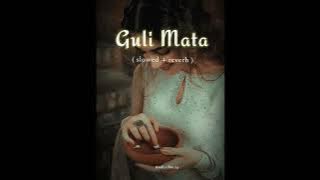 Guli Mata (slowed reverb) || Saad Lamjarred, Shreya Ghoshal || Jennifer Winget || lofi music 💗