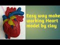 Science school project/Human heart working model