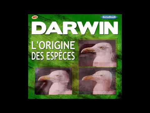 04. De L&rsquo;Origine Des Espèces - Chapitre 4 : La Sélection Naturelle Ou La Persistance Du Plus Apte