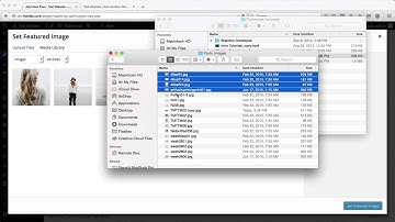 Flothemes :: Porto - New Blog Post