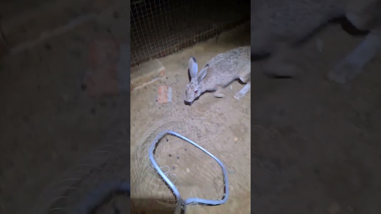 Мы встретились, старый враг (с) Джасти 