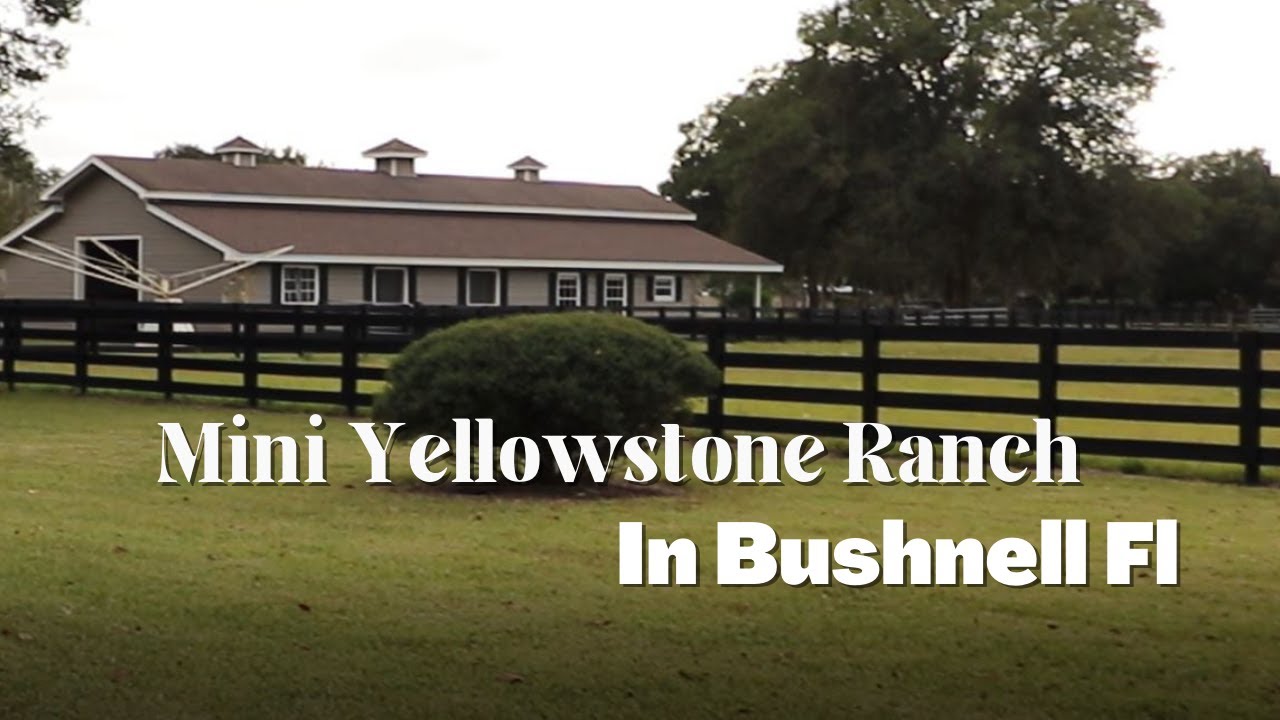 Mini Yellowstone Ranch in Bushnell Florida | Pool and Horse Stables