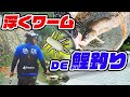実験！浮くワームで鯉つれるん⁉️