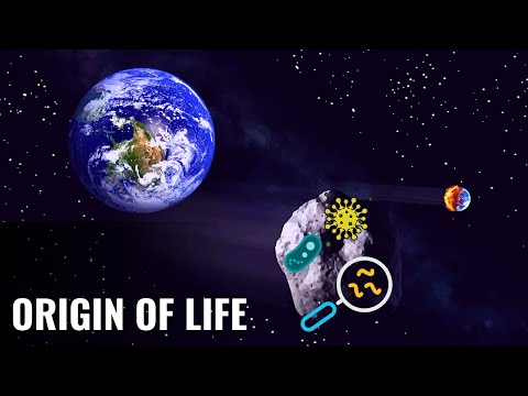 The Panspermia Hypothesis, Explained